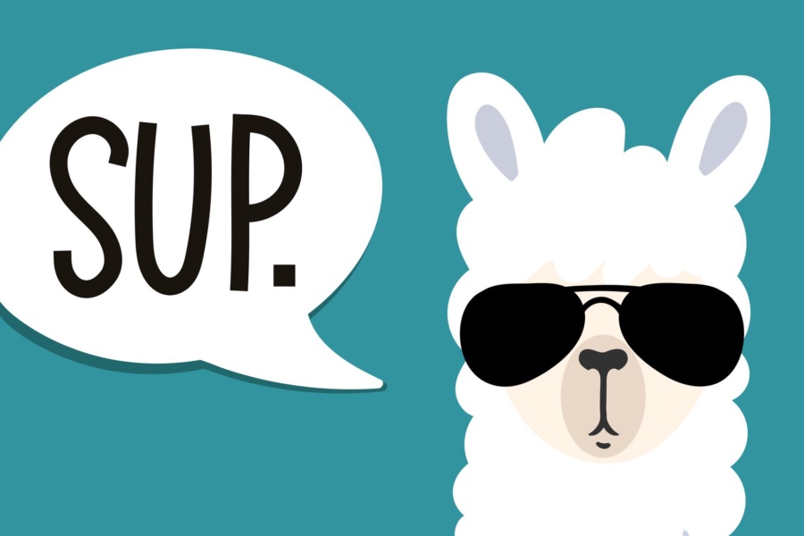 Llama illustration